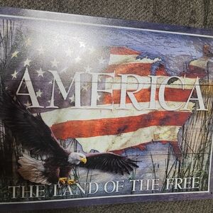 Patriotic America Wall Art (114)